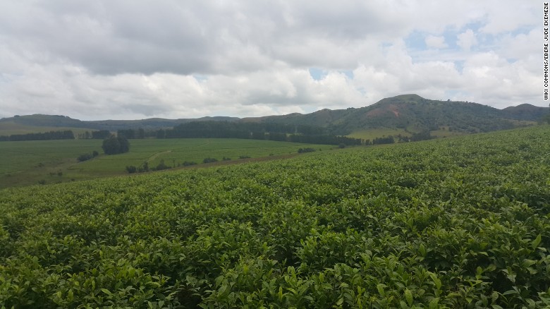 The Mambila Plateau in Taraba state. The project will cause considerable disruption and displacement, environmentalists warn. 